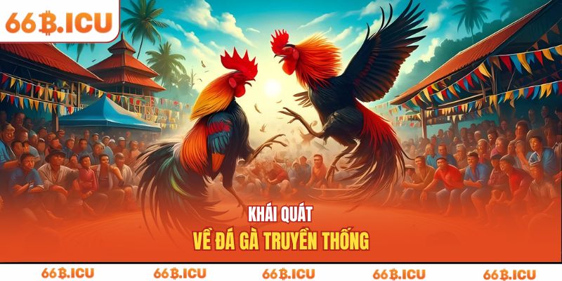 Khái quát về đá gà truyền thống