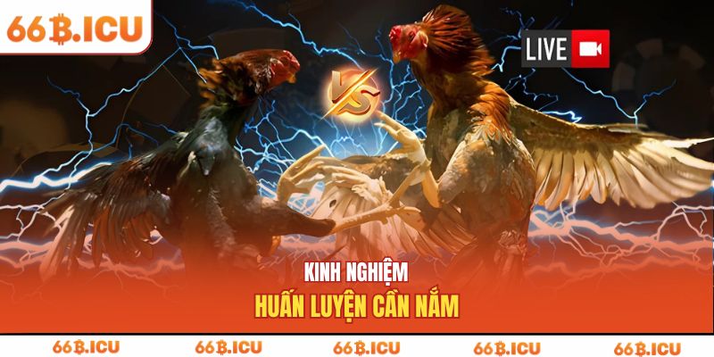 Kinh nghiệm huấn luyện cần nắm