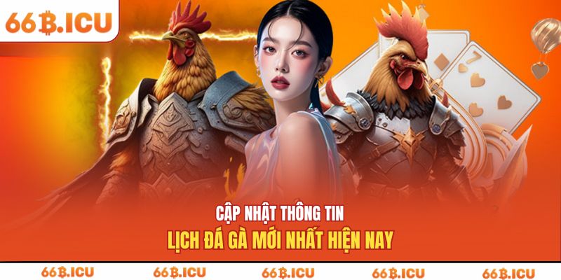Cập nhật thông tin lịch đá gà mới nhất hiện nay